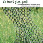 Vabilo na letni koncert KMoPZ Davorina Jenka - SI VOX EST, CANTA!